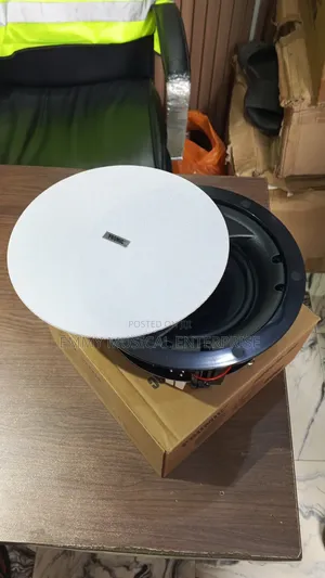 Passive Frameless Ceiling Speaker