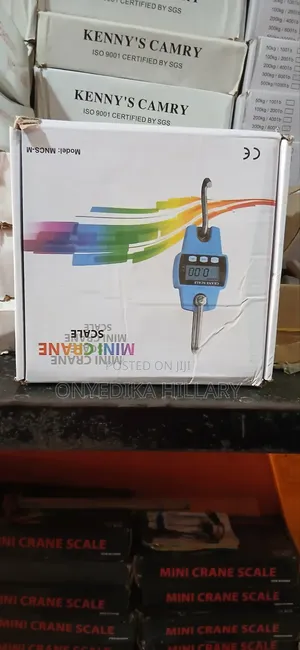 300kg Hanging Scale