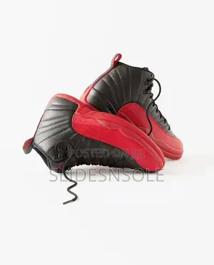 Air Jordan 12 Retro “Flu Game