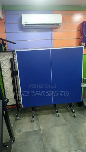 American Fitness Outdoor Table With Bat and Ball
