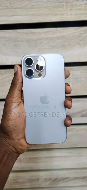 Apple iPhone 15 Pro Max 256 GB Gray