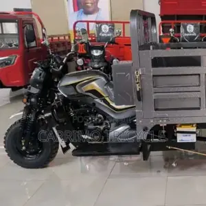 New Motorcycle 2024 Gray