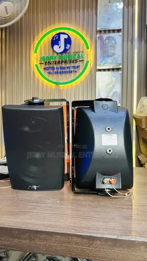 Indoor/Outdoor Ceiling Speakers