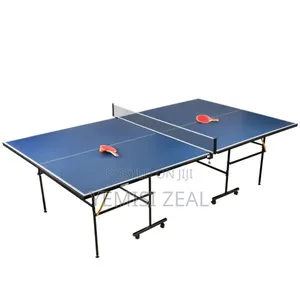 Indoor Butterfly Table Tennis Board With Full Accessories