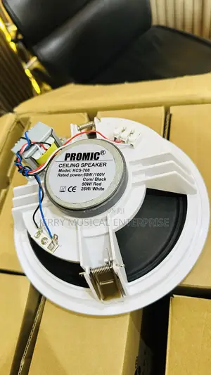 Original Promic Ceiling Speakers System Passive
