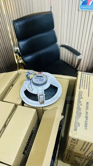 Ceiling Speakers With Powered Amplifier With Bluetooth and Usb
