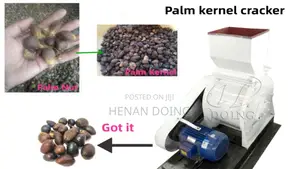 Palm Nut Cracker / Kernel Sheller Machine