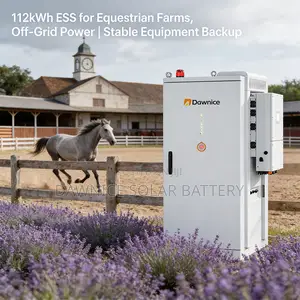 112kwh Grid-Tied Energy Storage for Small Businesses Factories