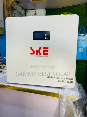 Ske 5kwh 24v Lithium Battery 
