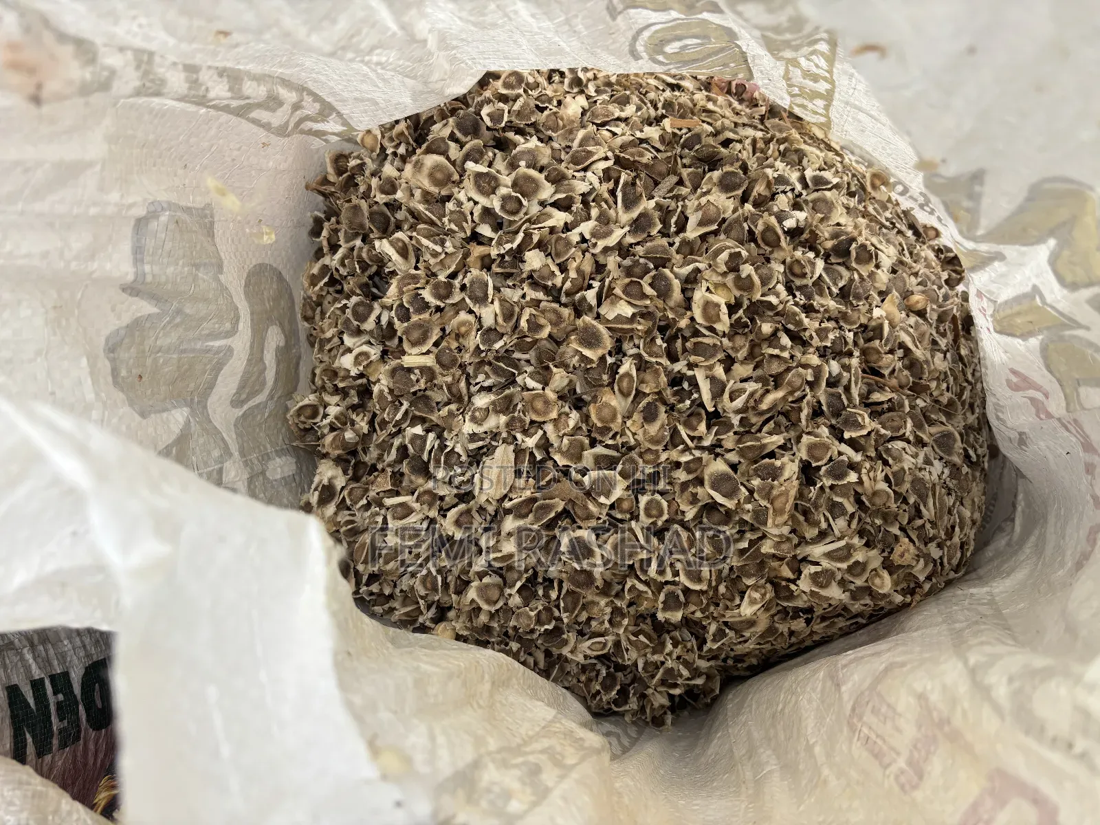 Moringa Seed