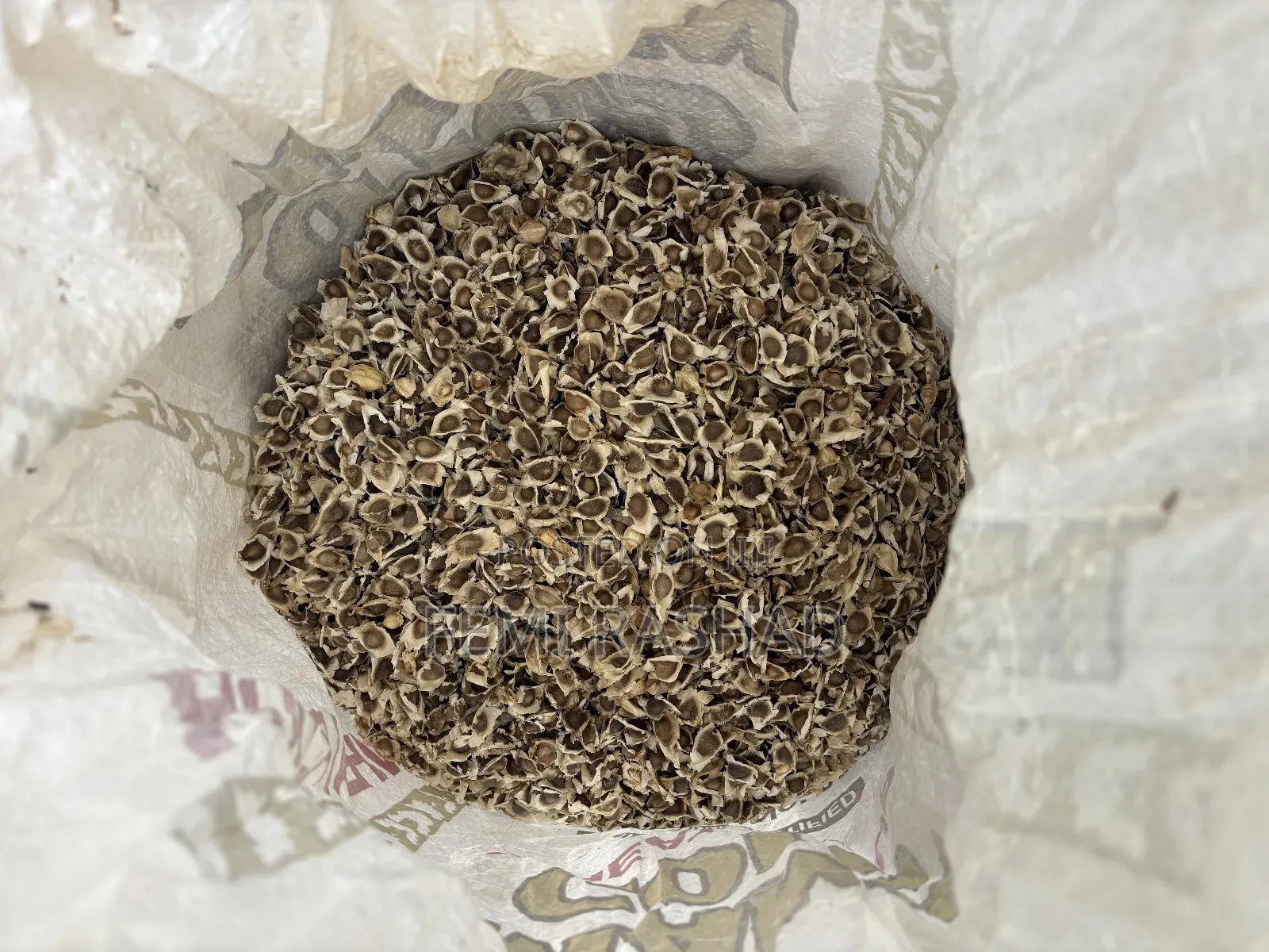 Moringa Seed