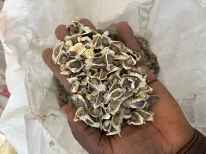 Moringa Seed