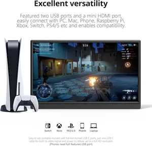 Portable Monitor (Single)