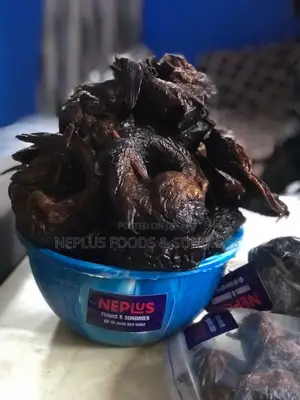 Neplus Foods Sundries