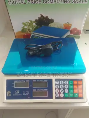 Digital Weighing Scale 30kg Weighing Scale