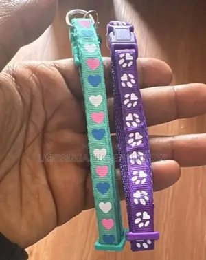Cat Collar