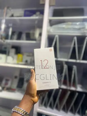 New Xiaomi 12 256 GB Gray
