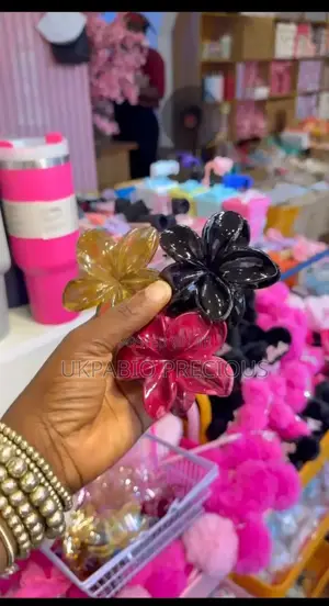 Necklace, Hair Claw Clips and So On