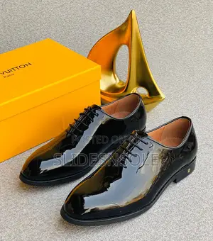 Luxury Louis Vuitton Shoe