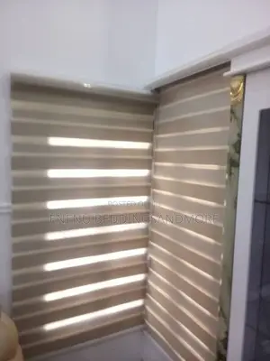 Window Blinds