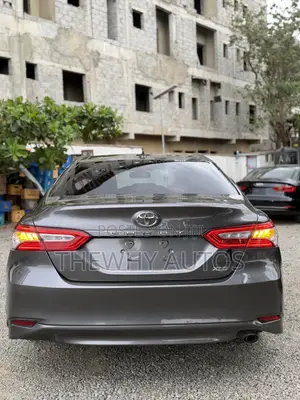 Toyota Camry XLE (2.5L 4cyl 8A) 2019 Gray
