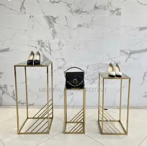 Stainless Shoe Rack