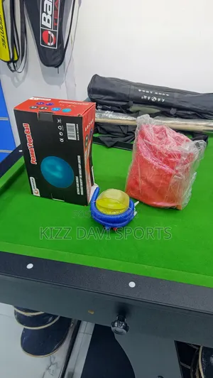 Gym Balls 75cm With Pump Handles
