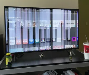 Tv Screen Repair for All Brands