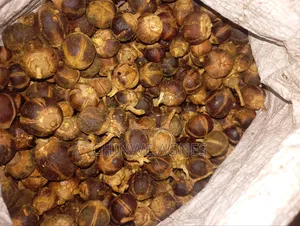 Goronutula Silky Fruit (20 Pieces)