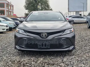Toyota Camry XLE (2.5L 4cyl 8A) 2019 Gray