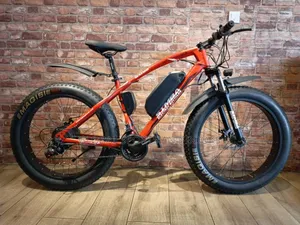 Fat Tyre E-Bike
