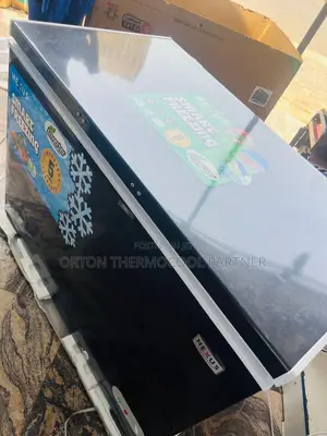 Nexus Inverter Deep Freezer 300l