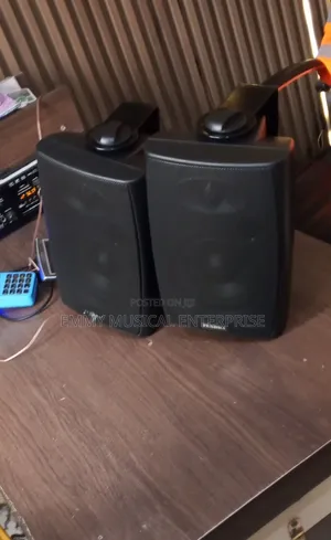 In and Outdoor Speaker