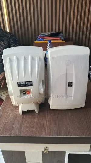 Outdoor Speaker