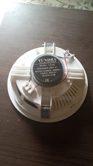 Passive Ceiling Speaker for T