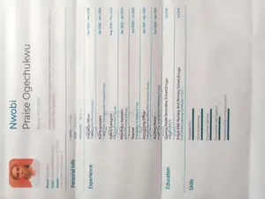 Nurse Assistant Cv