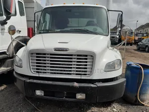 Freightliner 2015 White