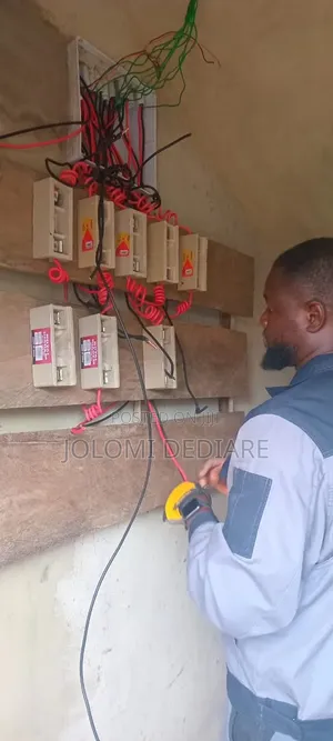 Professional Electrician