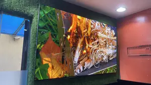 Lg Oled Evo 77 Inch G4 Series Smart Ultra Hd HDR Dolby Tv 2024