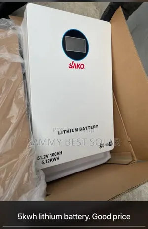 Sako 5kwh 48v Lithium Ion Battery 