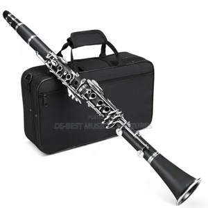 Clarinet Professional