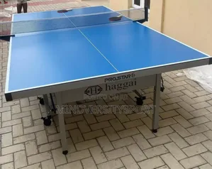 Aluminum Outdoor Table Tennis Board