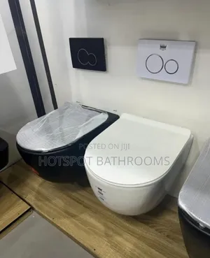 Quality Concealed Wc Closet