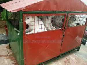 Big Double Cage