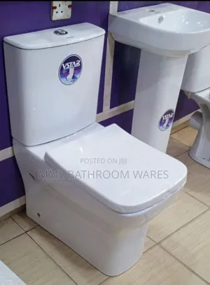 Dual Flush Toilet Seat With Basin