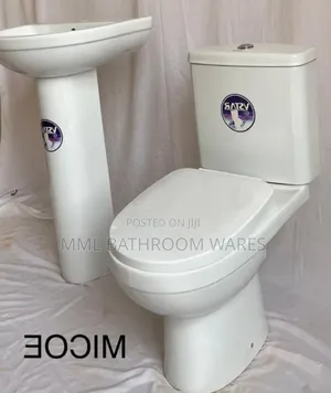 Dual Flush Water Closet Wc