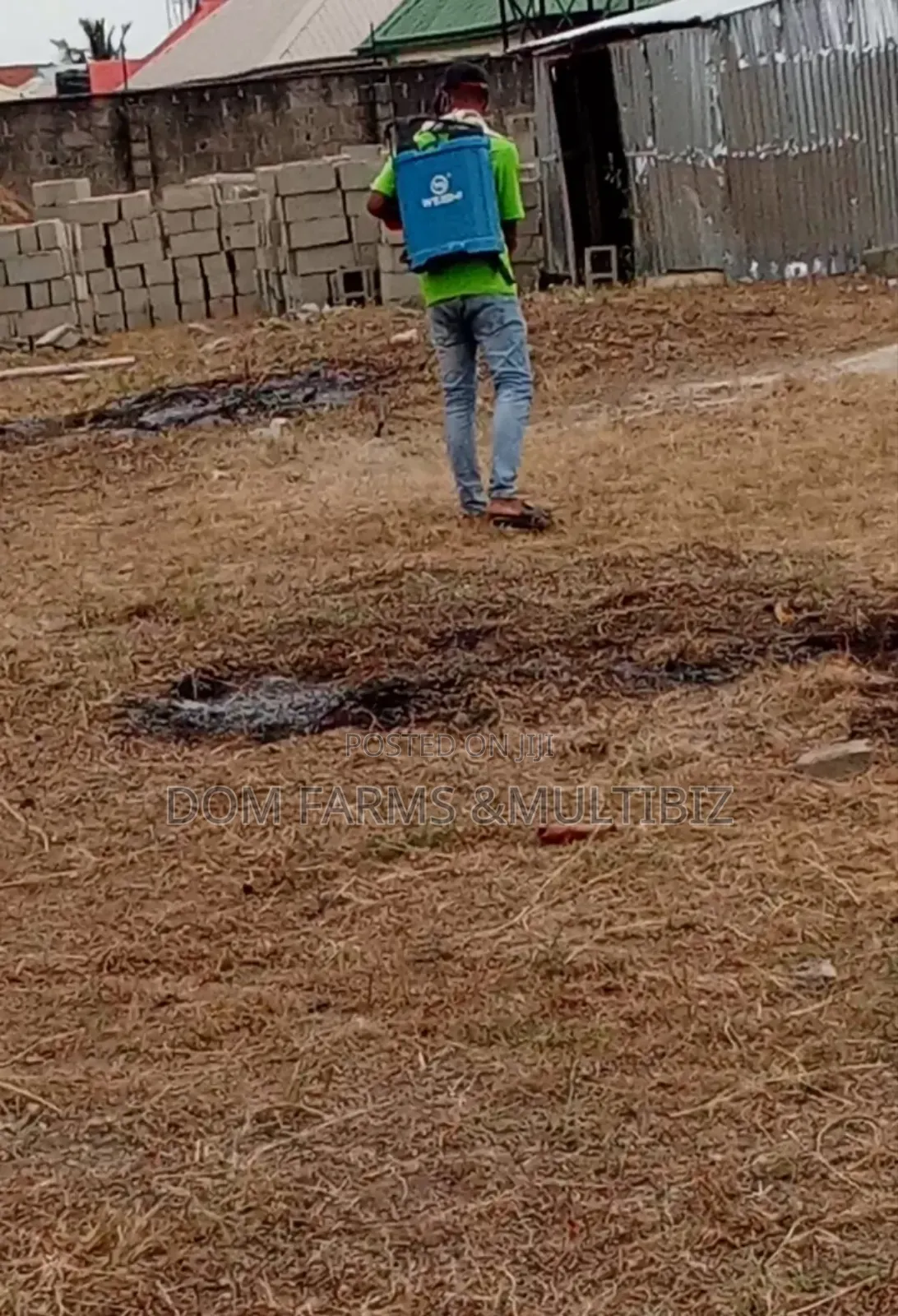 Professional Fumigation Pest Control Services