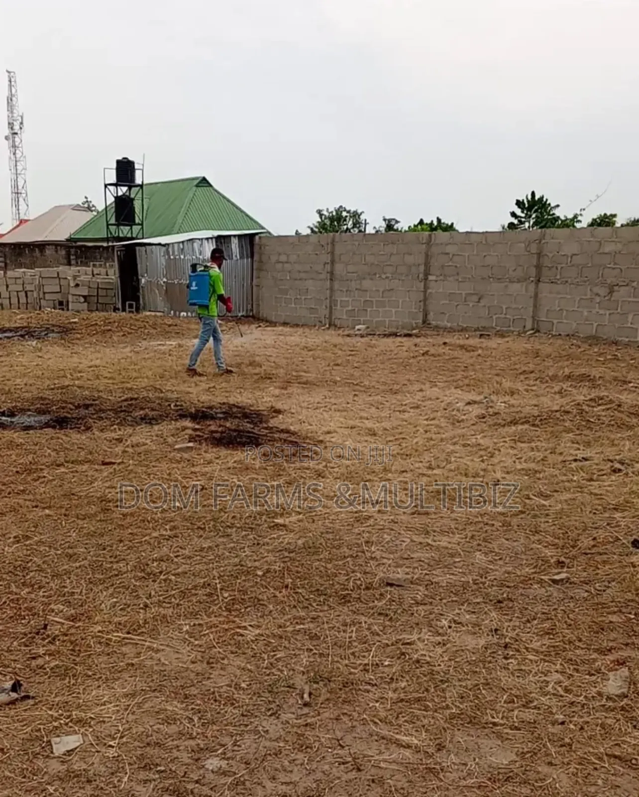 Professional Fumigation Pest Control Services