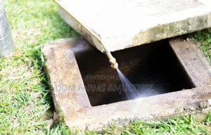 Professional Fumigation Pest Control Services