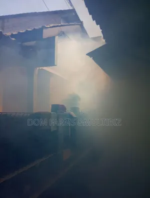 Professional Fumigation Pest Control Services